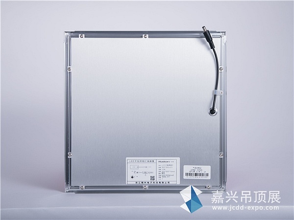 雨林4（改）