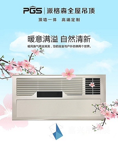派格森_副本