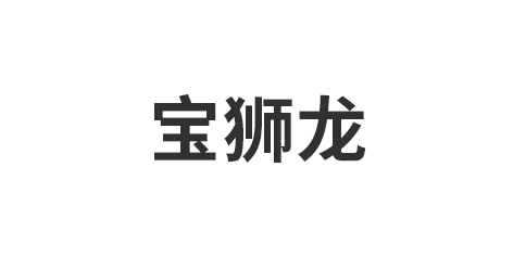 海宁宝狮龙装饰材料厂