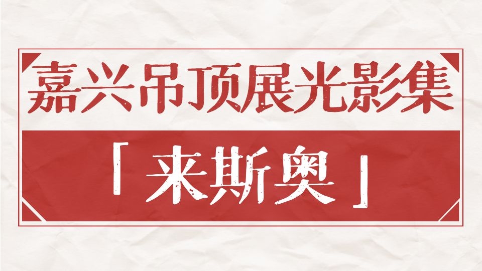 嘉兴吊顶展光影集丨七届展会“流量大咖”，来斯奥品牌魅力无限