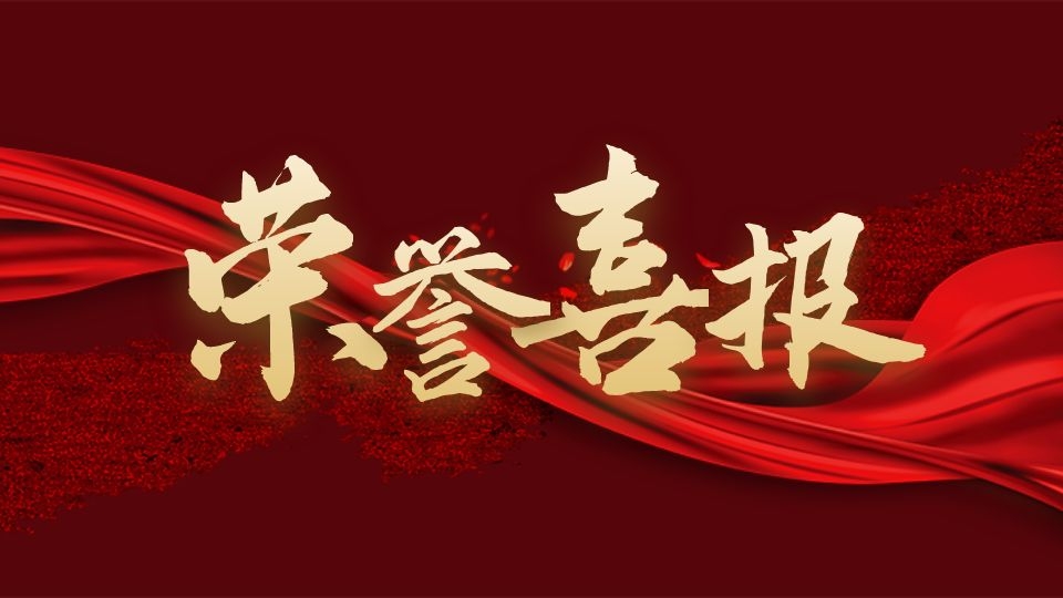 品牌丨海创荣获2021年中国顶墙行业领军品牌，实至名归！