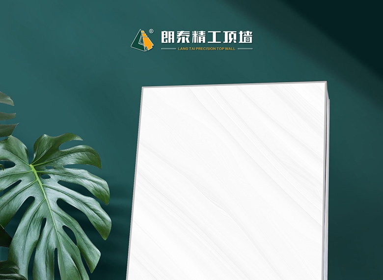 朗泰产品效果图