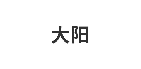 山东大阳新型材料有限公司