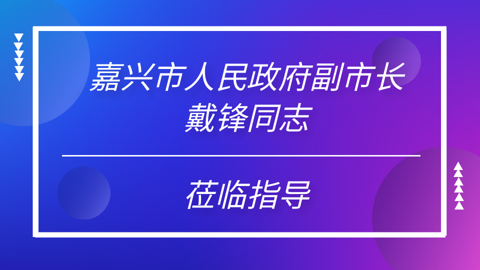 嘉兴市人民政府副市长戴锋同志莅临嘉兴吊顶展现场参观指导